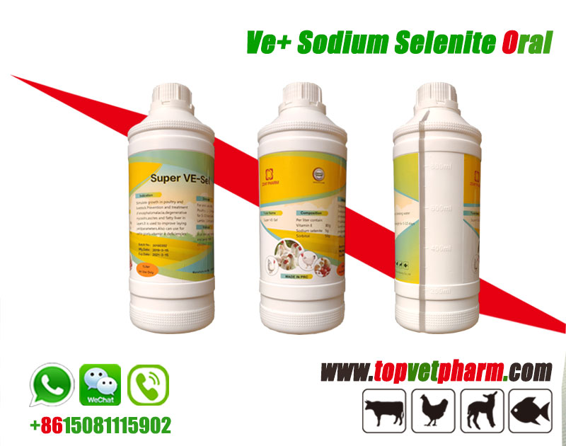 Vita E Sel Oral Solution