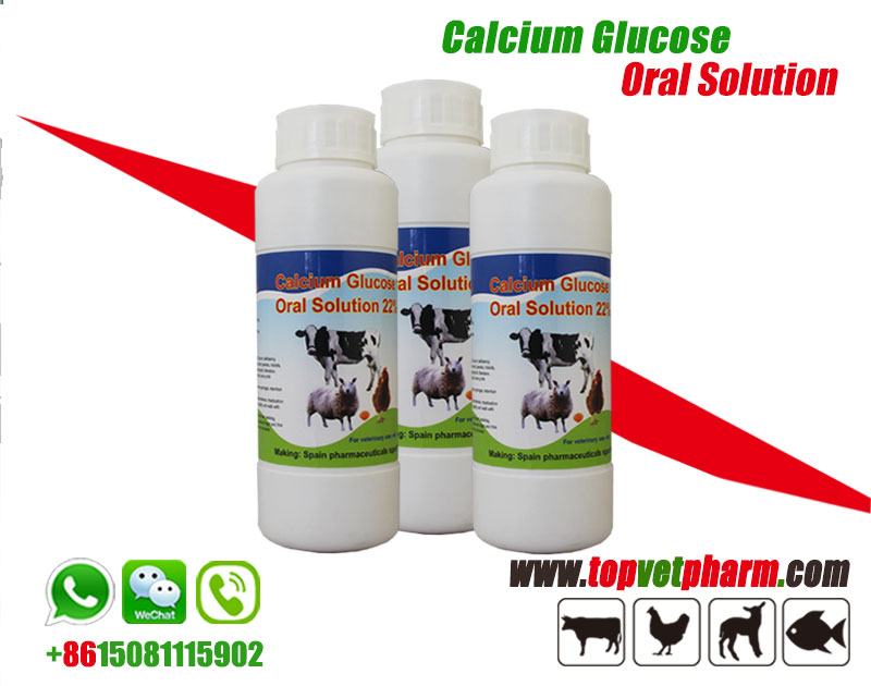 Calcium Gluconate Oral Liquid
