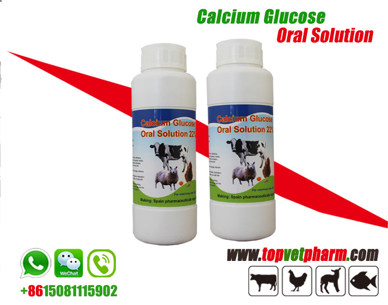 Calcium Gluconate Oral Liquid