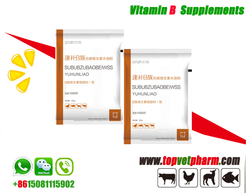 Poultry Vitamin B Powder