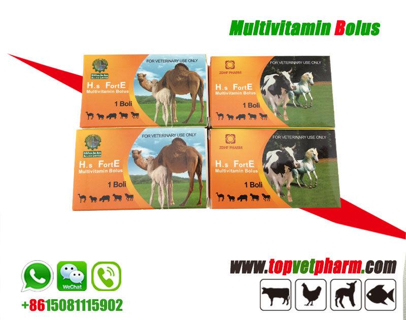 Cattle Multivitamin Mineral Bolus Tablet