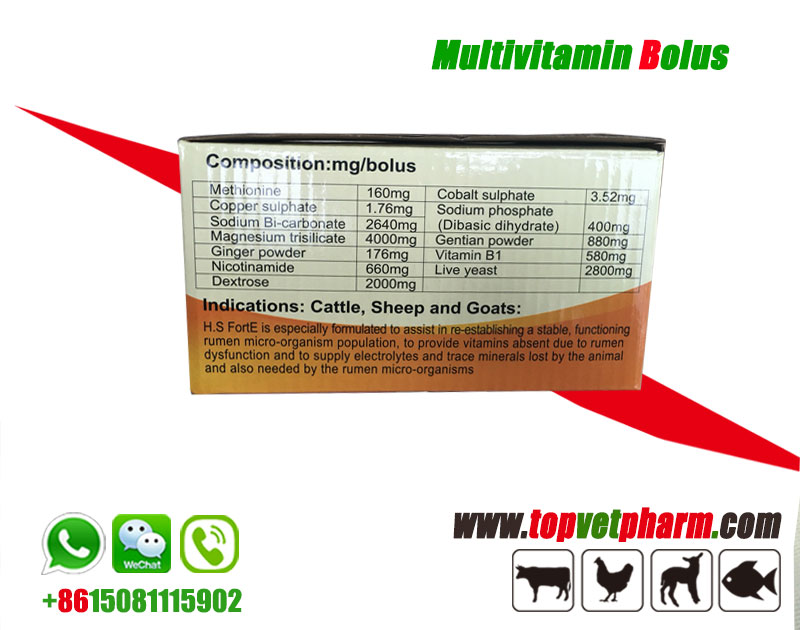 Multivitamin Mineral Bolus