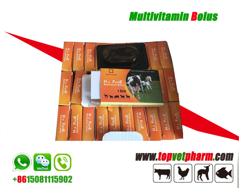 Multivitamin Mineral Bolus