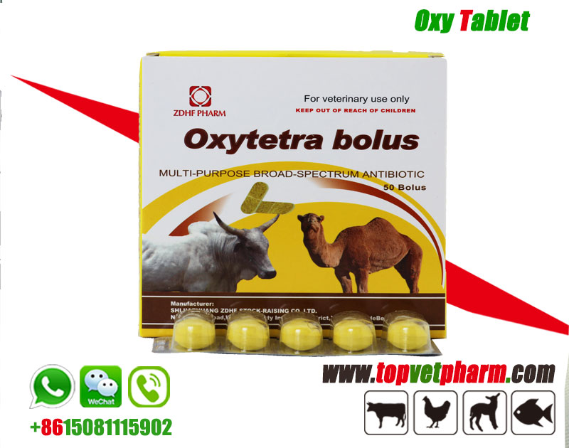 Oxytetracycline Tablet 