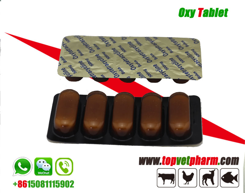 Oxytetracycline Tablet 