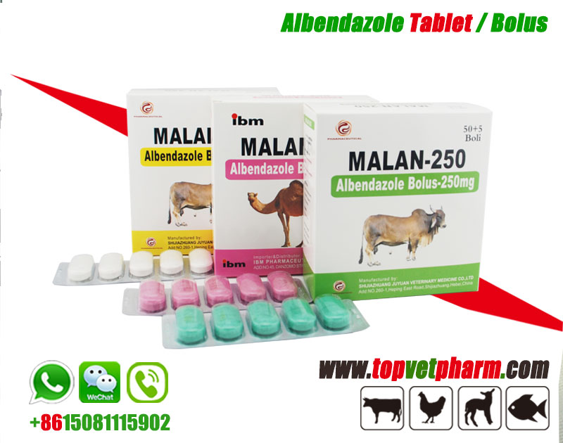 Anti Parasite Albendazole Bolus 300mg  2500mg 150mg