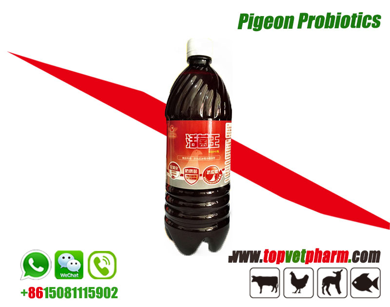 Pigeon Probiotics Supplements