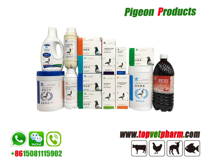 Pigeon Probiotics Supplements