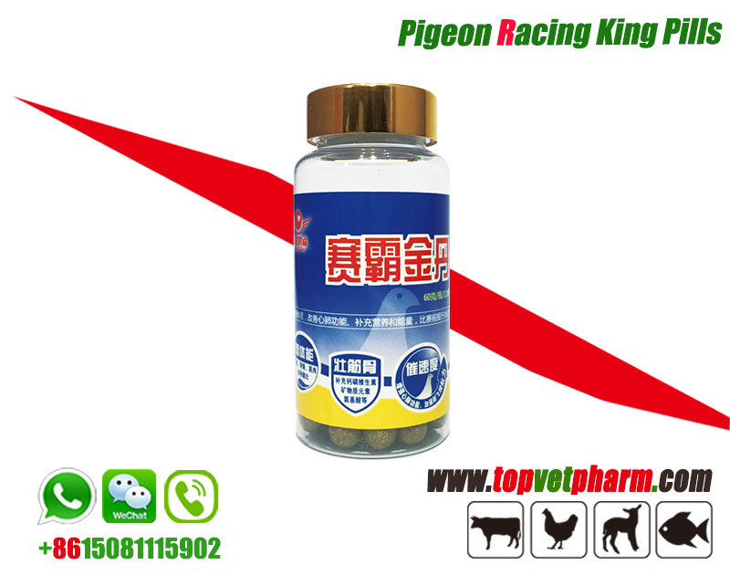 Racing Pigeon King Pills