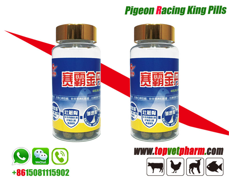 Racing Pigeon King Pills