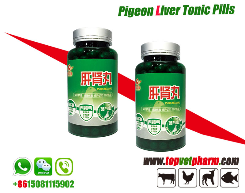 Racing Pigeon Liver Tonic Pills