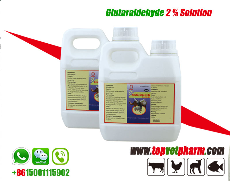 Disinfectant Glutaraldehyde Solution