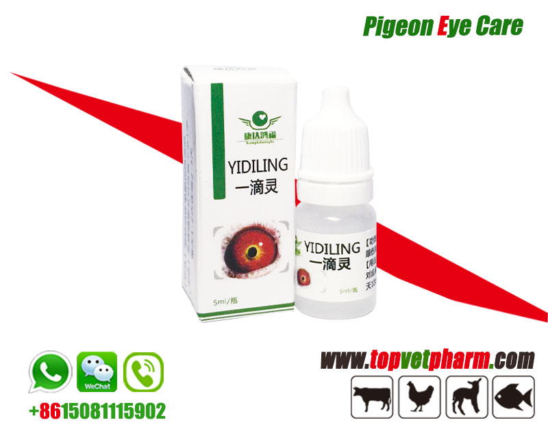 Pigeon Eye Drop For Weep