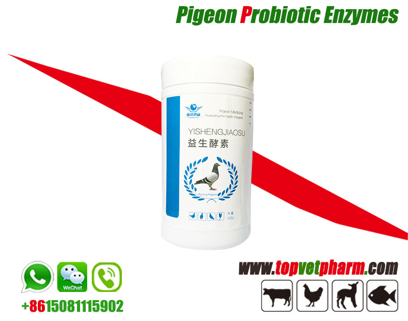 Pigeon Probiotic Enzymes