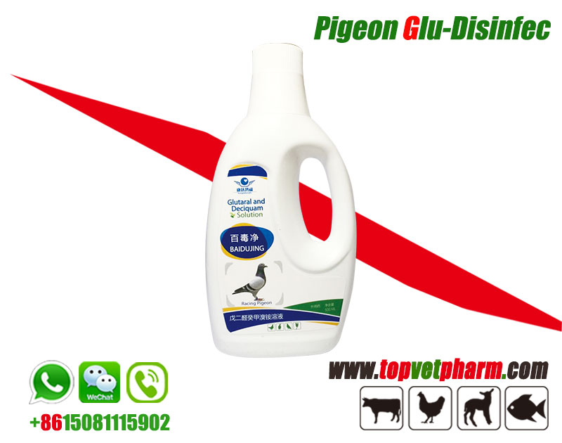 Glu Disinfect