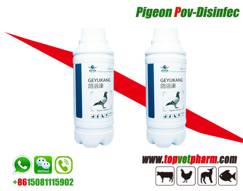 Povidone iodine Disinfect