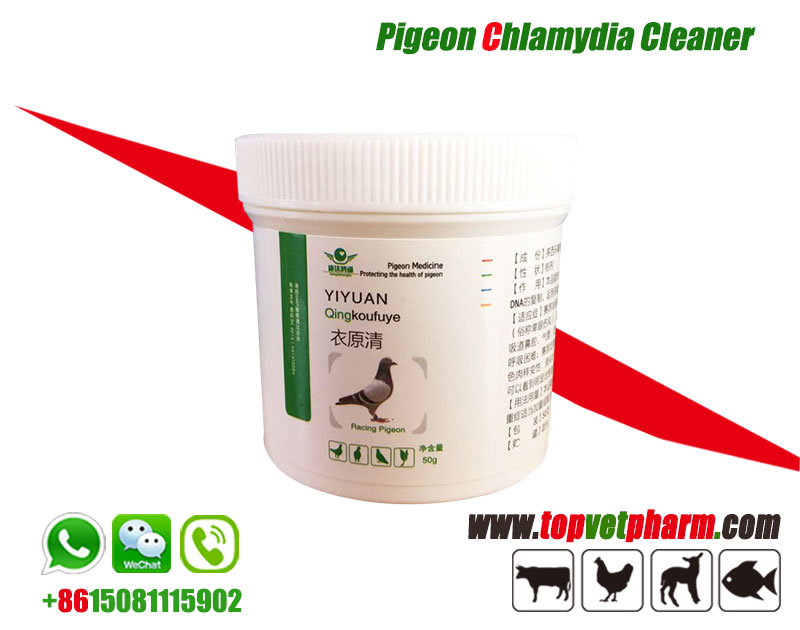 Pigeon Chlamydia Cleaner