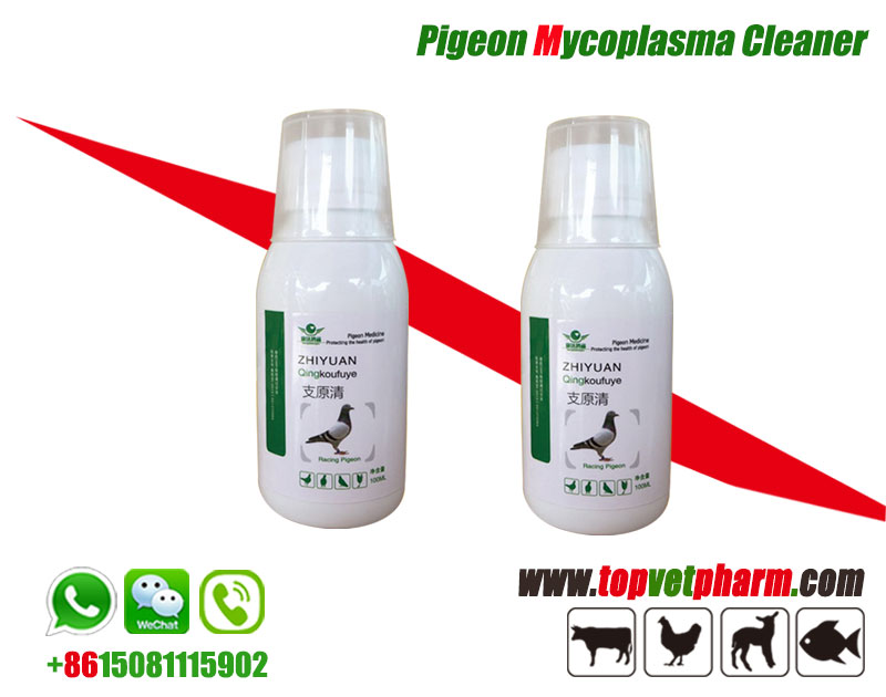Pigeon mycoplasma Cleaner