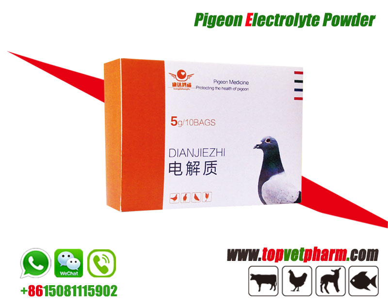 Pigeon Electrolyte Powder