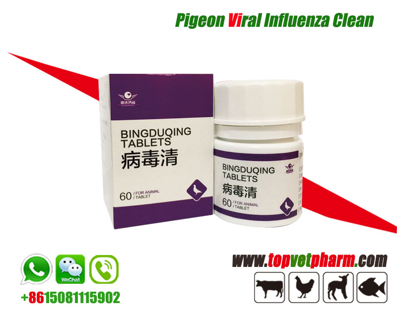 Pigeon Viral Influenza Clean