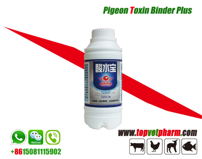 Pigeon Toxin Binder Plus