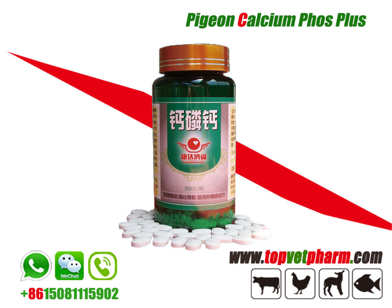 Pigeon Calcium Phosphorus Supplements