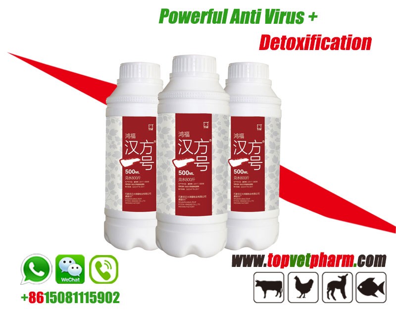 Anti Viral Solution