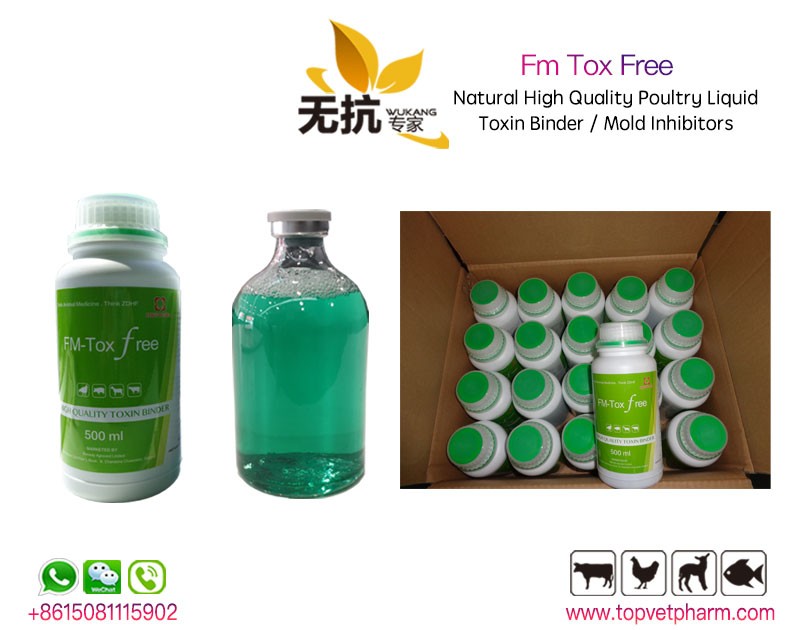 Fm Tox free