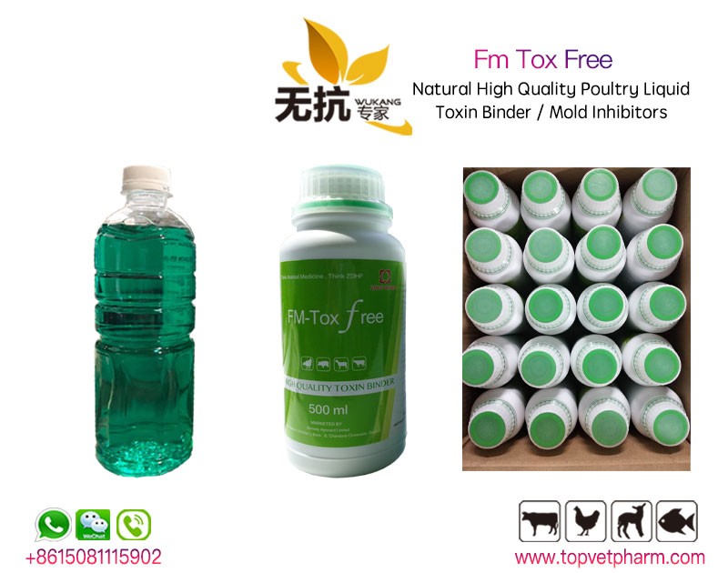 Fm Tox free