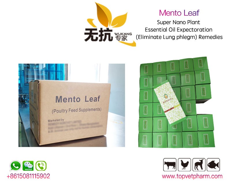 Mento Leaf