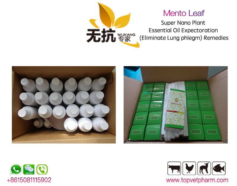 Mento Leaf