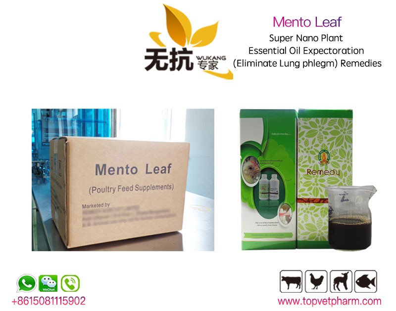 Mento Leaf