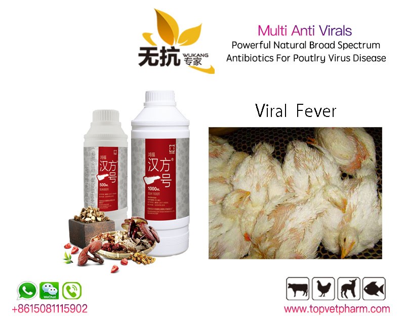 Multi Anti Virals