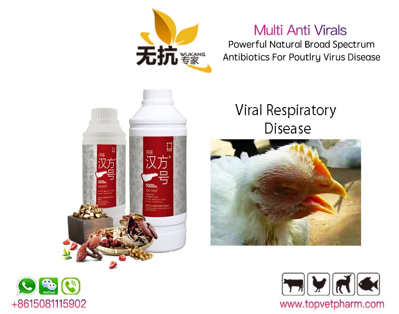 Multi Anti Virals