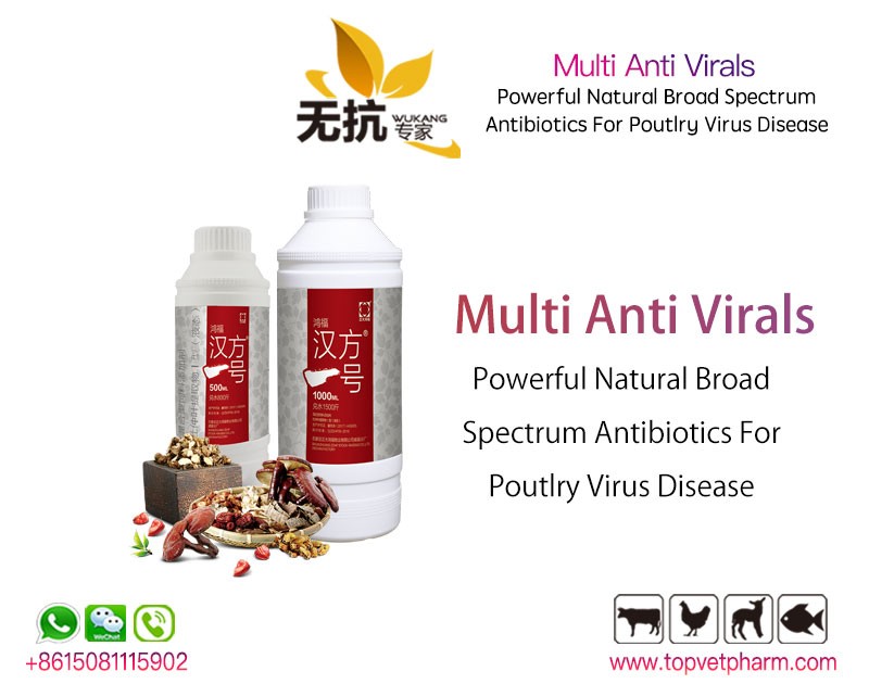 Multi Anti Virals