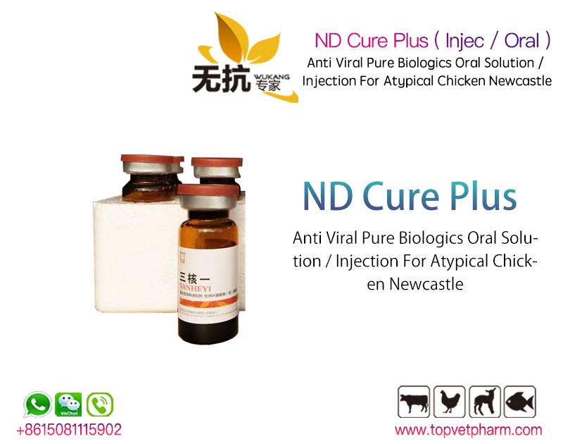 ND Cure Plus