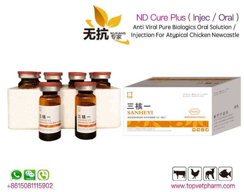 ND Cure Plus