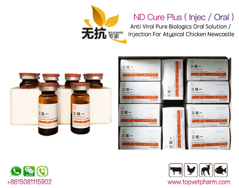 ND Cure Plus