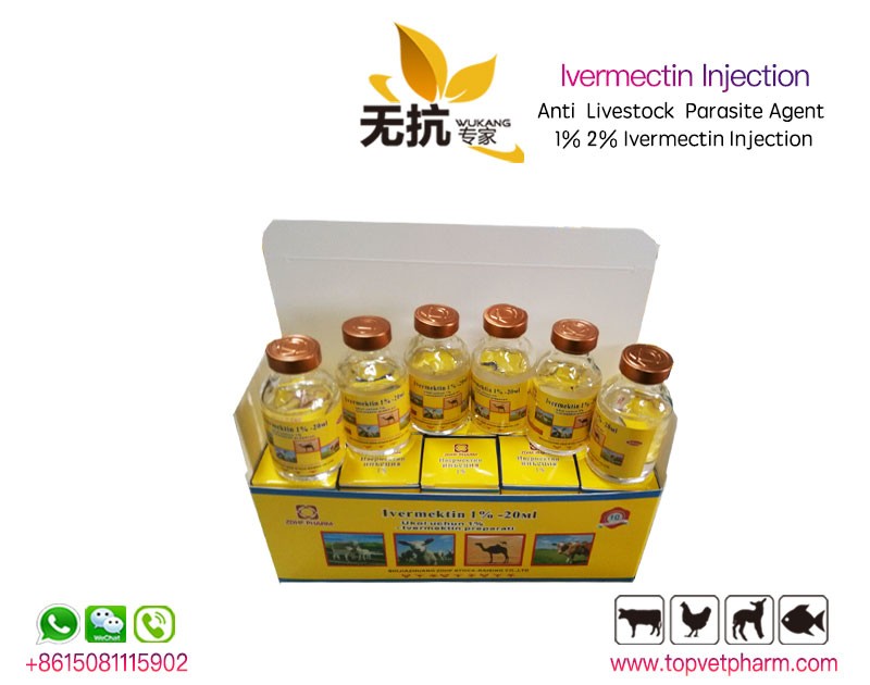 Ivermectin injection 1%  100ml