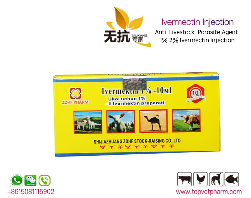 Ivermectin injection 1%  100ml