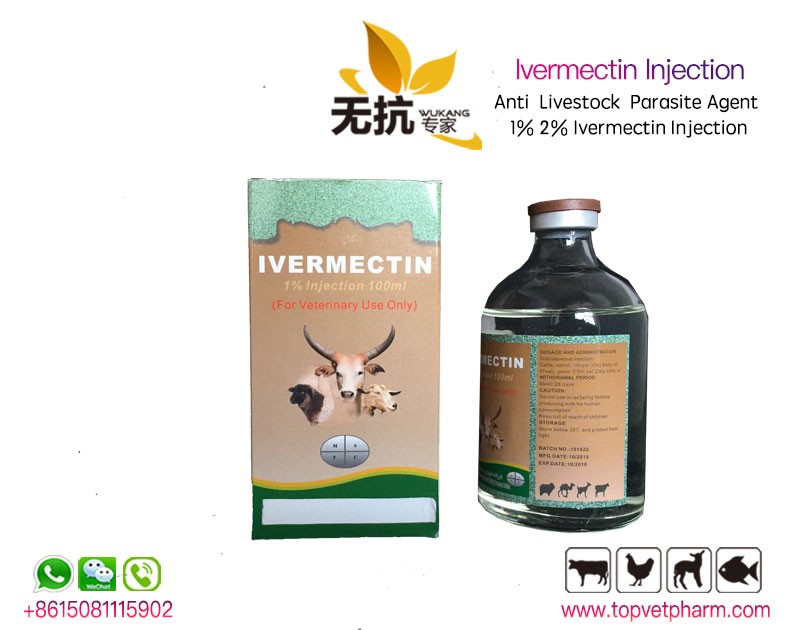 Ivermectin injection 1%  100ml