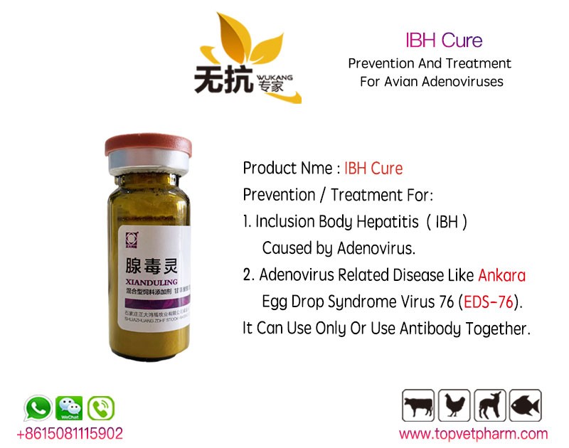 IBH Cure