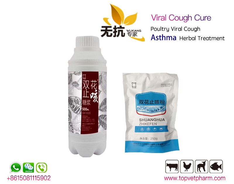 Viral Cough Cure