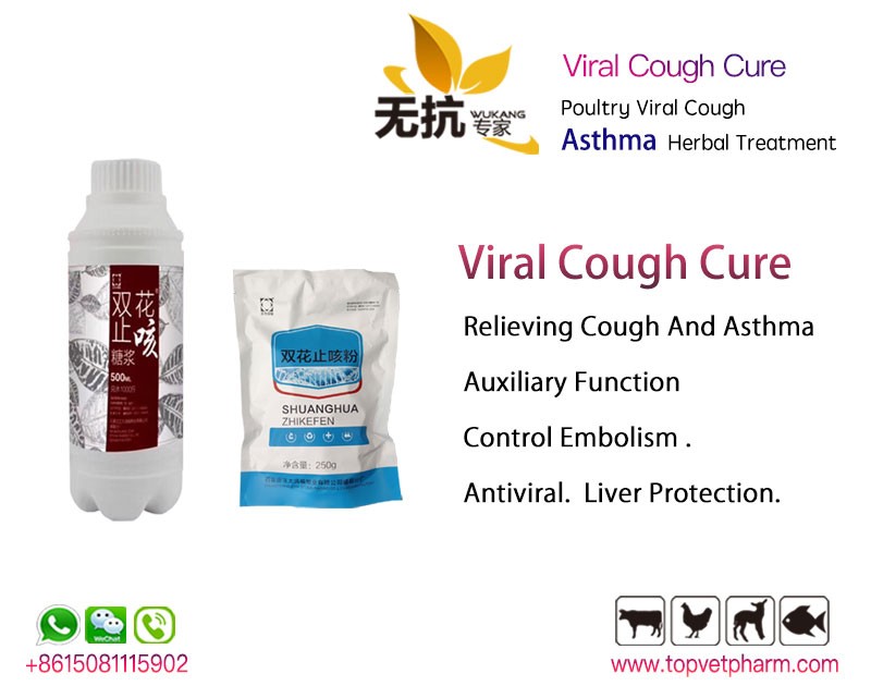 Viral Cough Cure