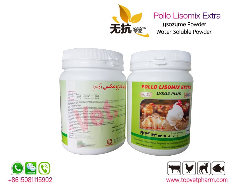 POLLO LISOMIX - Lysozyme Powder
