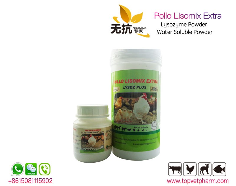 POLLO LISOMIX - Lysozyme Powder