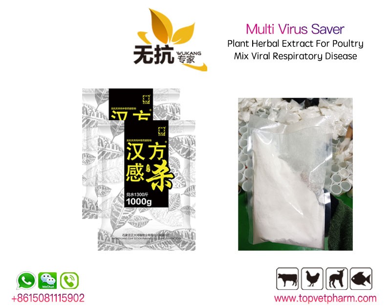 Multi Virus Saver