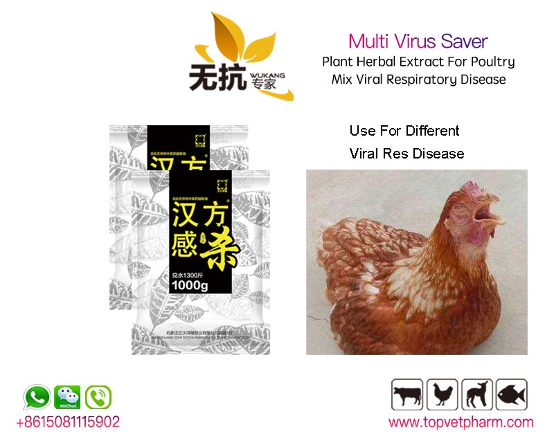 Multi Virus Saver