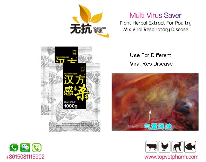 Multi Virus Saver