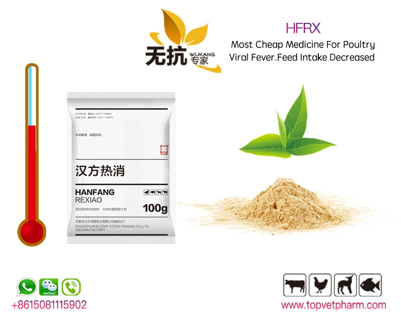 Poultry Fever Reduce Powder 